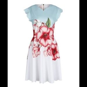 Ted Baker Maevea dress-Size 12 (ted baker 5)